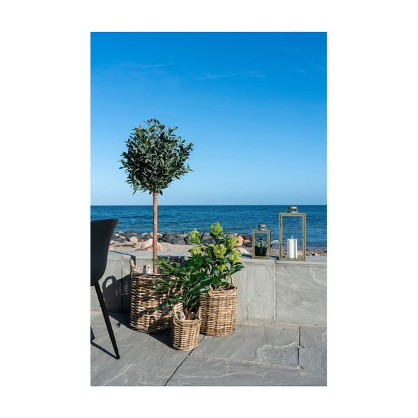 Pianta finta (altezza totale 60 cm) Fig – House Nordic-image-3