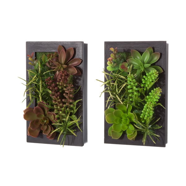 Sada 2 závěsných dekorací ve tvaru rostoucího kaktusu Unimasa