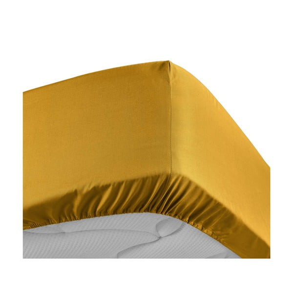 Lenzuolo giallo in percalle di cotone elasticizzato 180x200 cm Percaline - douceur d'intérieur-image-3