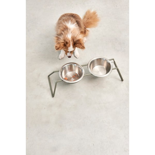 Set di ciotole con supporto in acciaio inox per cane Cena Grollive M – MiaCara-image-3