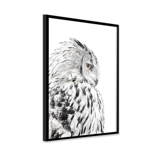Dipinto 50x70 cm Owl – Styler-image-3