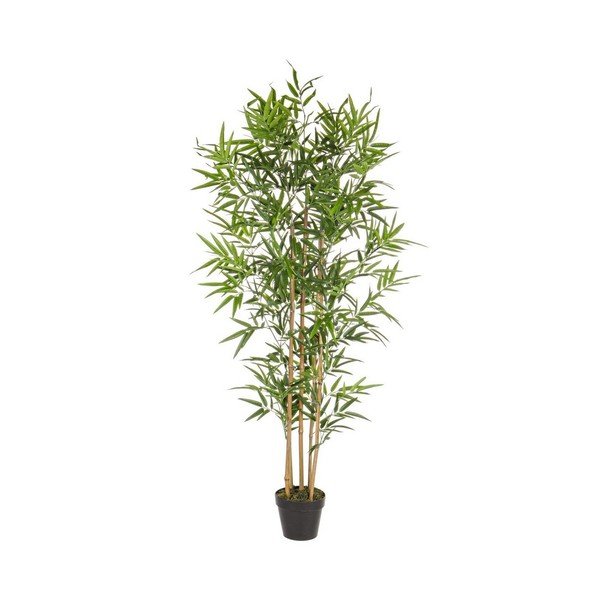 Pianta di bambù finta (altezza totale 155 cm) Bamboo – Bizzotto