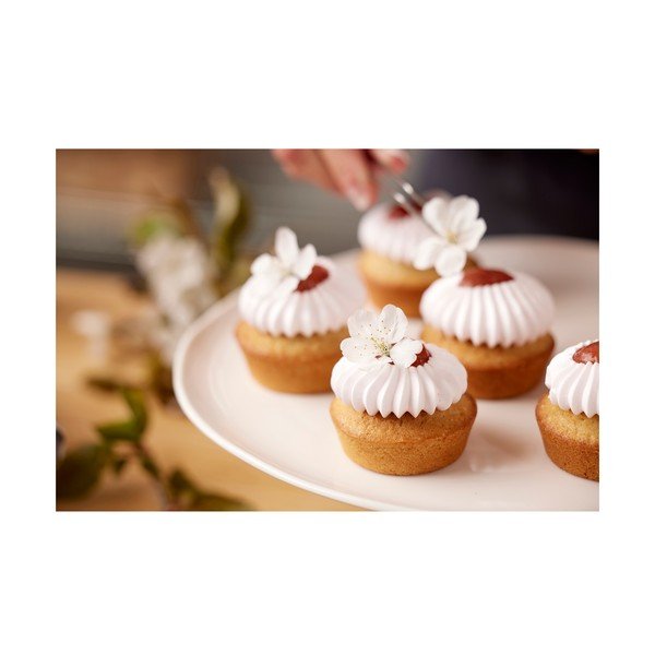 Pinza – Blomsterbergs-image-3