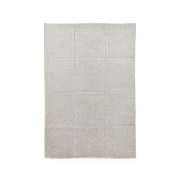 Tappeto grigio chiaro 120x170 cm Elio Silver – Think Rugs
