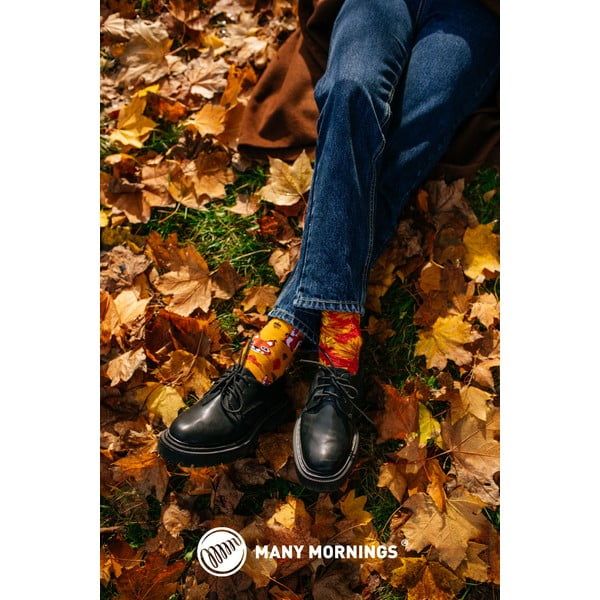 Calzini, taglia 35-38 The Squirrels - Many Mornings-image-2