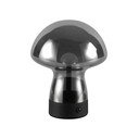 Lampada da tavolo LED grigia con paralume in vetro (altezza totale 18 cm) Dooley – Reality