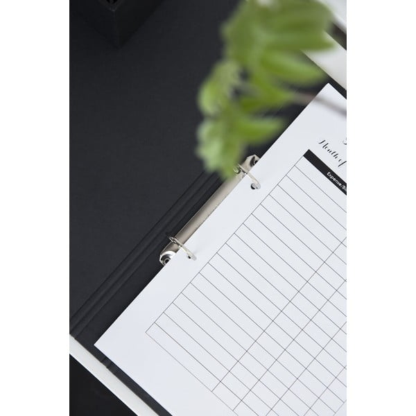 Organizzatore di cartone Ringo - Bigso Box of Sweden-image-1