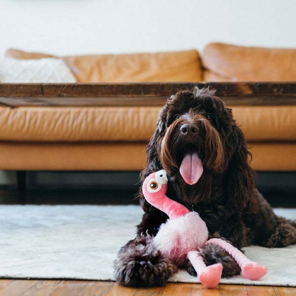 Giocattolo per cane Flamingo - P.L.A.Y.-image-1
