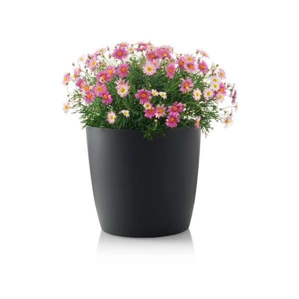 Antracitově šedý květináč s pojízdnými kolečky Gardenico Ella Twist'n'Roll Smart System, ø 29 cm