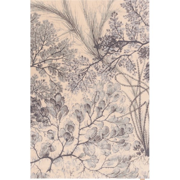 Tappeto color menta/beige in lana 200x300 cm V&A Calisia Kelp – Agnella