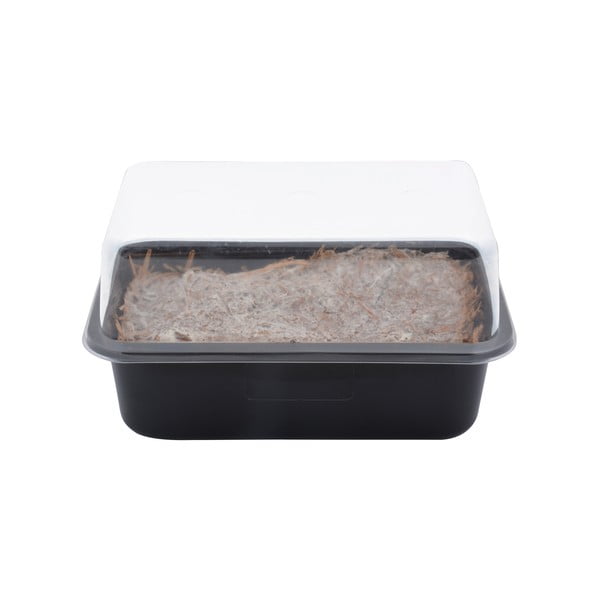 Sala di coltivazione Field Mushroom - Esschert Design-image-3