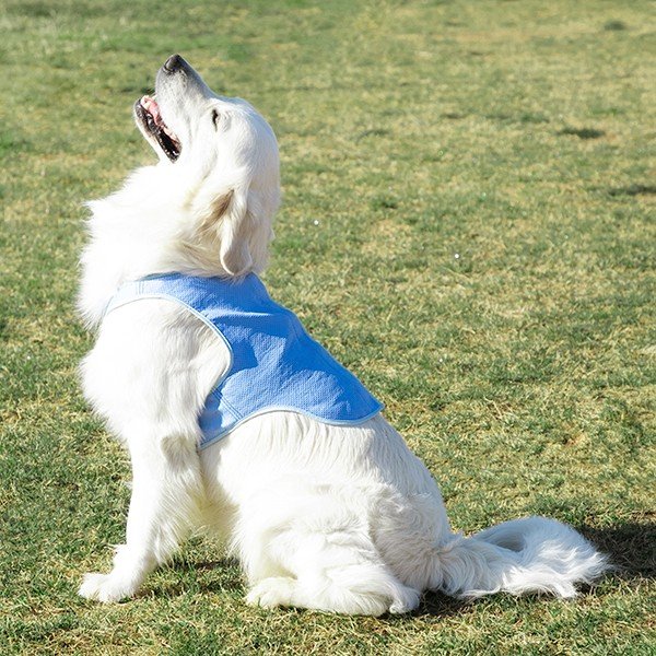 Gilet refrigerante per animali domestici di grossa taglia, taglia. L - InnovaGoods-image-2