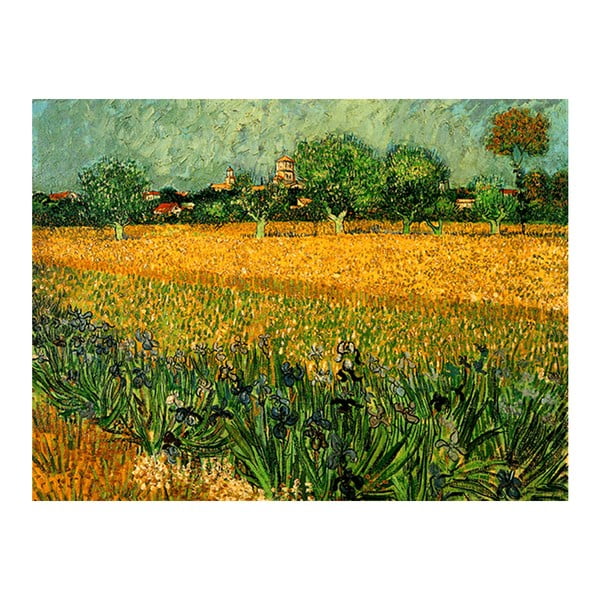 Riproduzione di Vincent van Gogh - Veduta di arles con iris in primo piano, 40 x 30 cm Vincent van Gogh - View of arles with irises in the foreground - Fedkolor