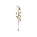 Fiore artificiale (altezza totale 68 cm) Poppy Berry – PT LIVING