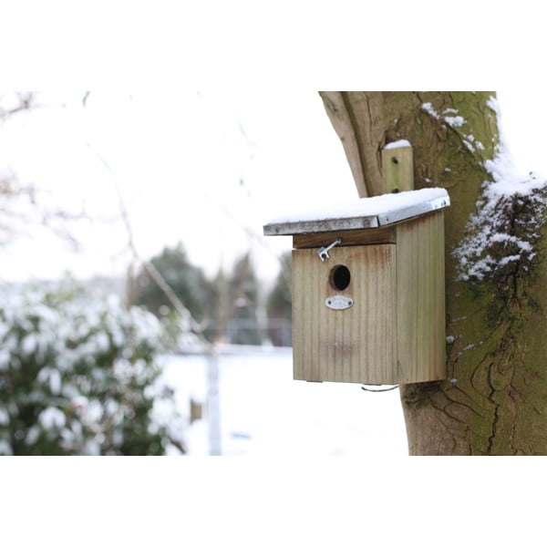 Cassetta di legno per cinciallegre - Esschert Design-image-2