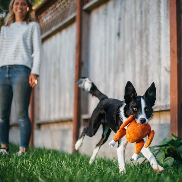 Giocattolo per cane Tacchino - P.L.A.Y.-image-1