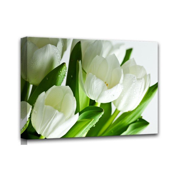 Quadro su tela Tulipani bianchi, 60 x 80 cm - Styler