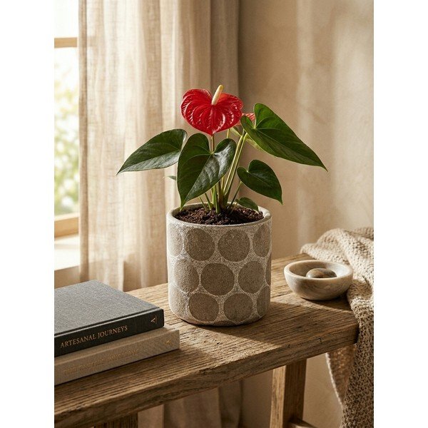 Coprivaso in terracotta ø 12 cm Felan – Bloomingville-image-2