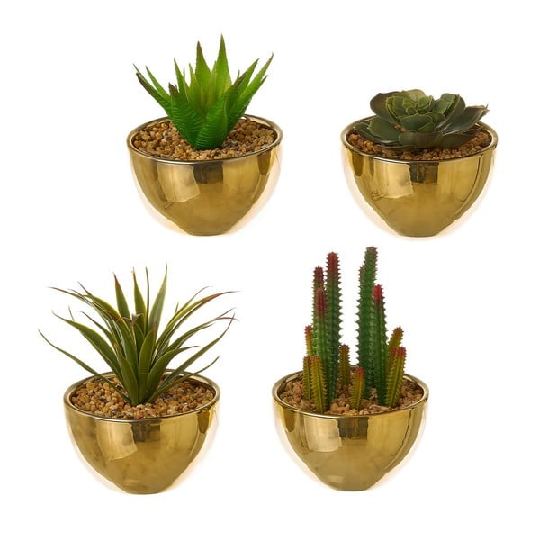 Piante artificiali in set da 4 Cactus - Casa Selección