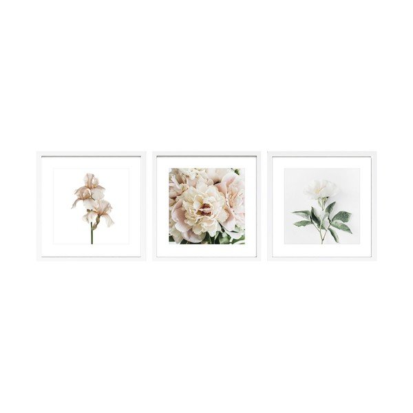 Set di dipinti stampati con cornice inclusa 3 pz 30x30 cm Posy – Styler