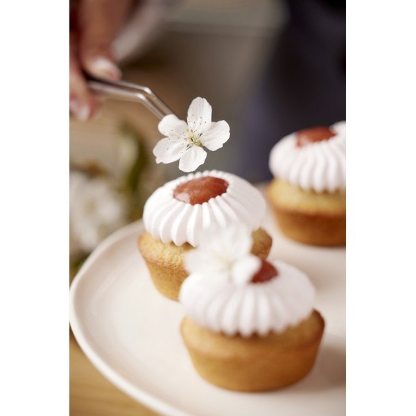 Pinza – Blomsterbergs-image-1