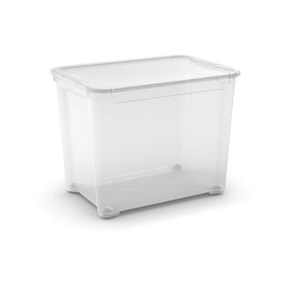 Rotho Lona Box Con Coperchio 57x46x39 Cm – 70 Litri, Trasparente, Impilabile, Adatto Alimenti, BPA Free