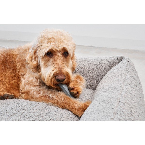 Giocattolo per cani Ramo Slate - MiaCara-image-2