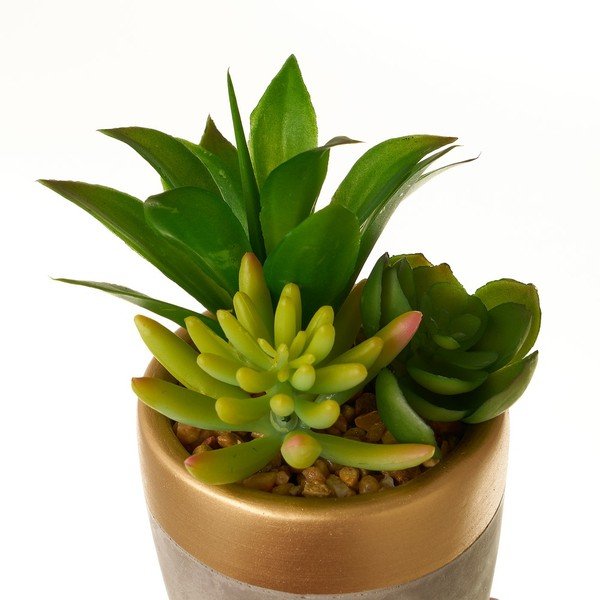 Piante artificiali in set da 4 (altezza 17 cm) Cactus - Casa Selección-image-4