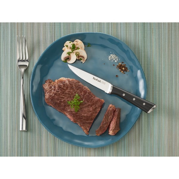 Set di coltelli da bistecca in acciaio inox 4 pezzi Ice Force - Tefal-image-1