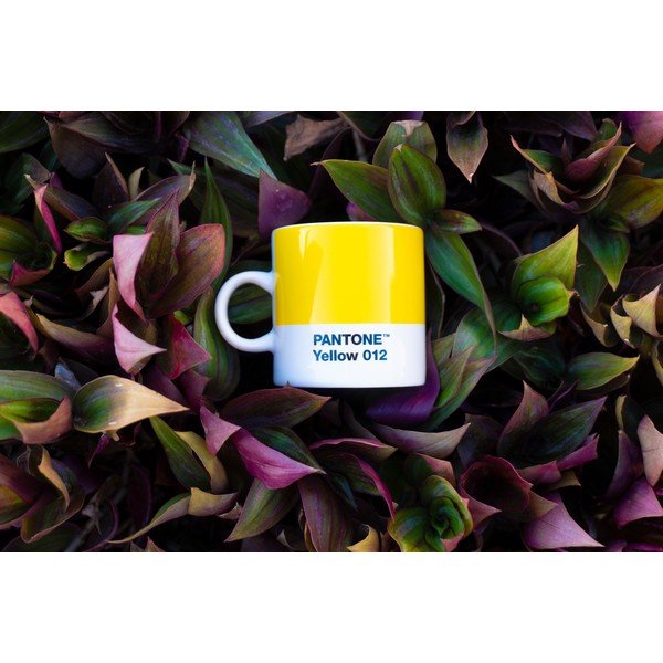 Tazzina per espresso gialla in porcellana 120 ml Yellow 012 – Pantone-image-1