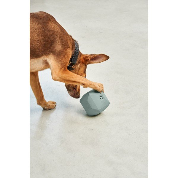 Giocattolo per cani Dado Eucalyptus – MiaCara-image-2