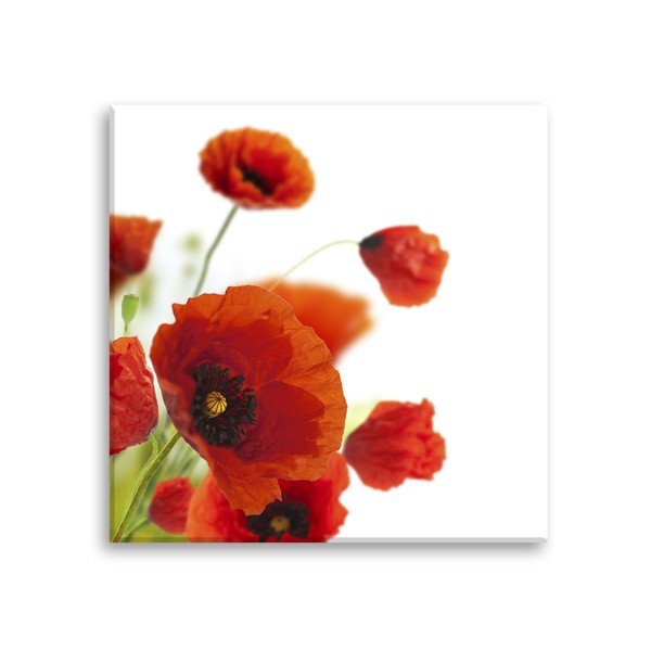 Immagine Voce Papaveri Papaveri, 30 x 30 cm - Styler