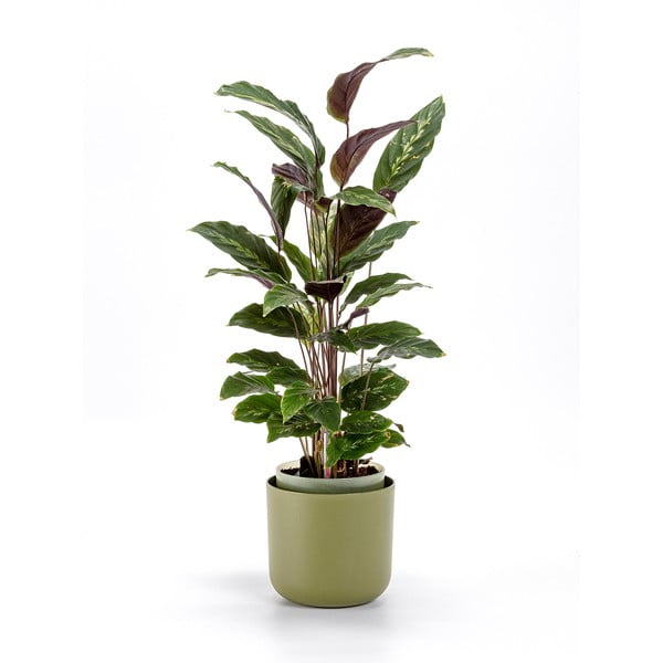 Vaso in plastica autoinnaffiante ø 16 cm Tolita - Plastia-image-1