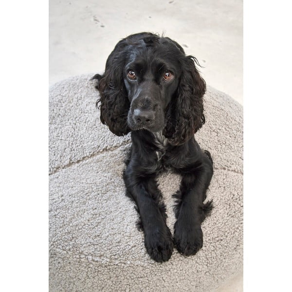 Cuccia grigia in materiale bouclé ø 90 cm Senso Pouffe Pebble M/L - MiaCara-image-2