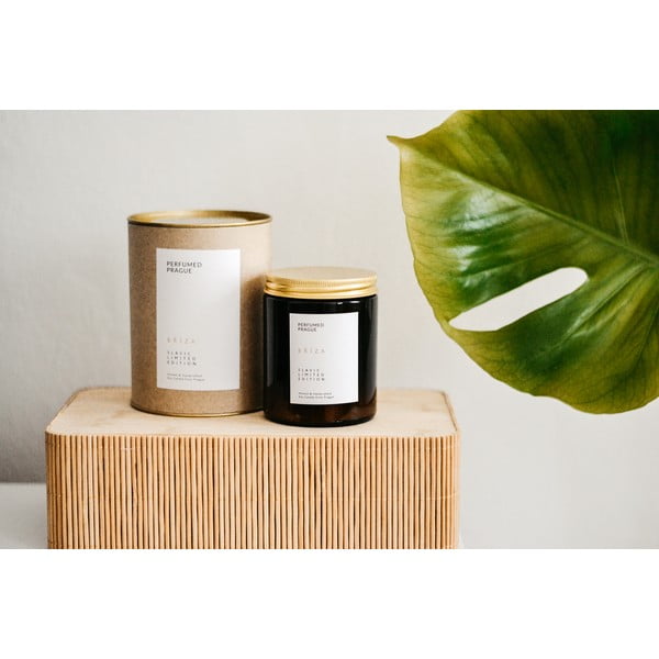 Candela in cera di soia profumata tempo di combustione 40 h Slavic Edition: #01 Birch – Perfumed Prague-image-3