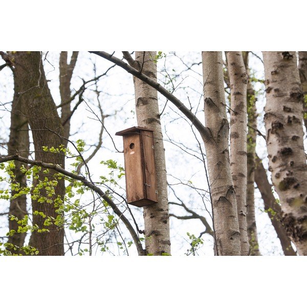 Casetta per uccelli in legno - Esschert Design-image-1