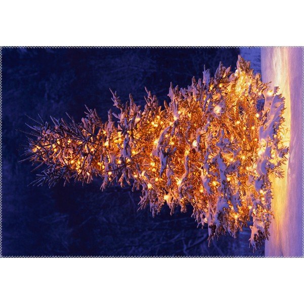 Koberec Vitaus Christmas Period Lit Up Tree Outside, 50 x 80 cm