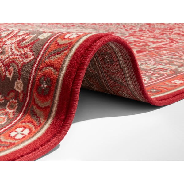 Tappeto rosso chiaro , 160 x 230 cm Skazar Isfahan - Nouristan-image-2