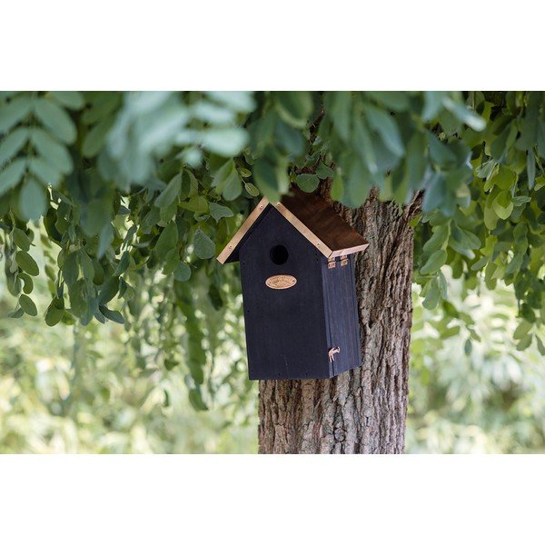 Casetta per gli uccelli in legno – Esschert Design-image-1