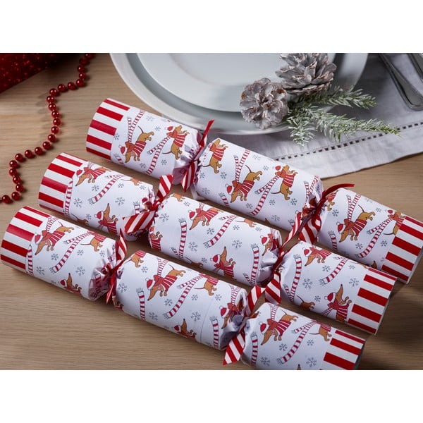 Set di cracker natalizi 6 pz Racing Sausage Dog – Robin Reed-image-1