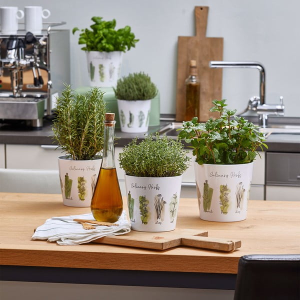 Coprivaso in ceramica 2 pz per erbe aromatiche ø 14 cm Dalllas Culinary - Big pots-image-2
