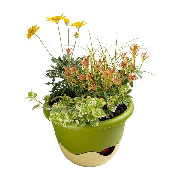 Vaso sospeso verde e bianco autoinnaffiante Mareta, lunghezza 25 cm - Plastia-image-2