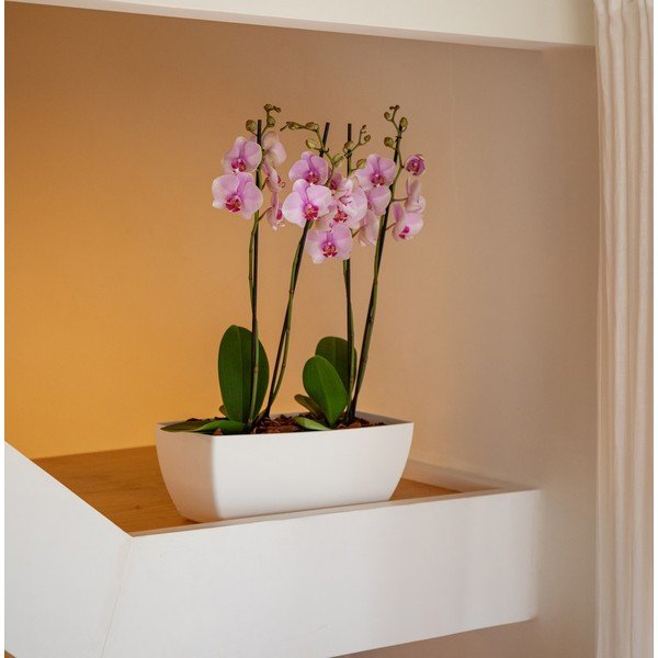 Fioriera in plastica riciclata 30 cm Siena – Artevasi-image-4