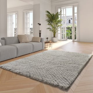Tappeto in grigio chiaro 160x230 cm Atesa – Universal