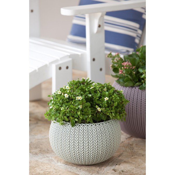 Vaso per fiori in plastica da appendere/parete ø 36 cm Cozy Violet – Keter-image-3