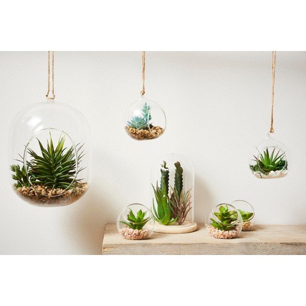 Succulenta artificiale Terra - Sema-image-1