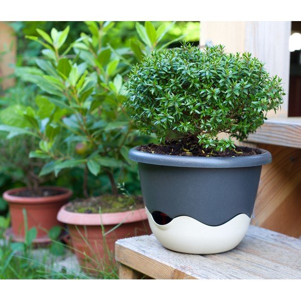 Vaso sospeso autoinnaffiante blu e bianco Mareta, lunghezza 30 cm - Plastia-image-1
