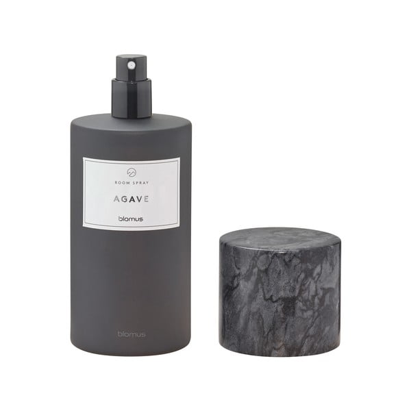 Profumo per ambienti 100 ml Frabli: Agave – Blomus