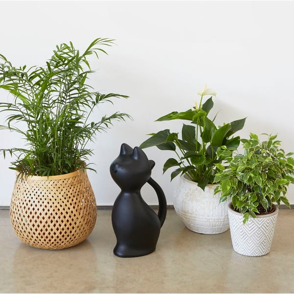 Annaffiatoio in plastica da 2 l Meow - Balvi-image-1