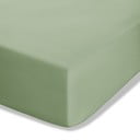 Lenzuolo con angoli verde in percalle 90x190 cm Easy Iron Percale – Catherine Lansfield
